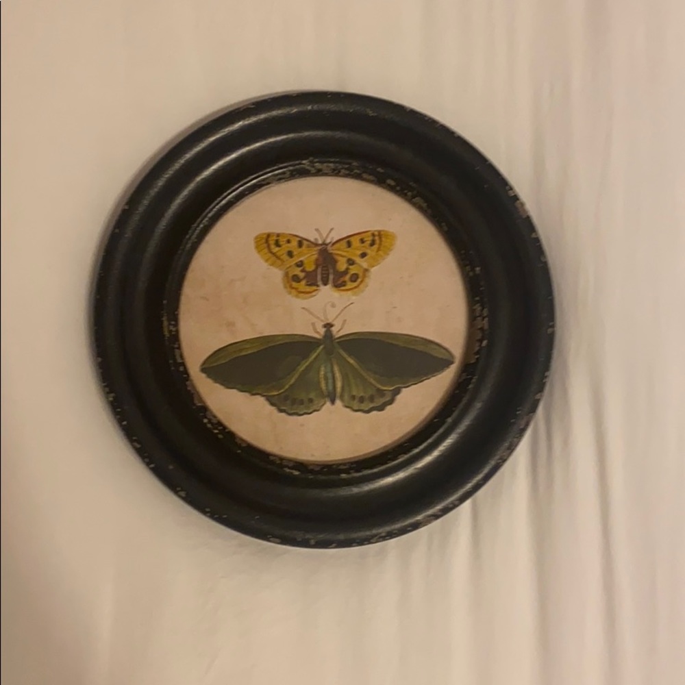 9.5x9.5 in shabby chic butterfly art